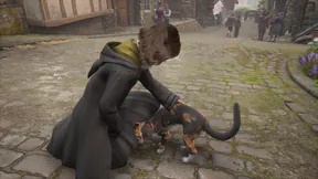 thumbnail Always stop and pet the cat :)