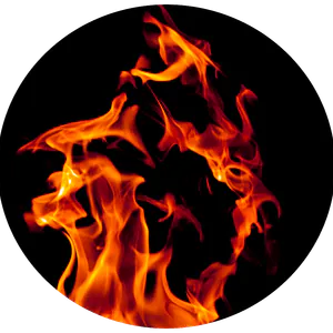 Profile Icon